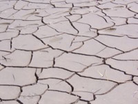 �n���̊�@���~���ƌ����闝�R