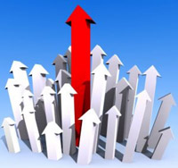 �h�{�����̖ʂł̃N�������A�X�s�����i�Ƃ̔�r